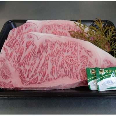 国産黒毛和牛サーロインステーキ 500g【配送不可地域：離島】