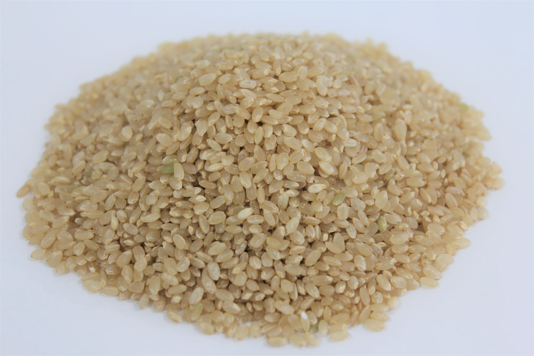 千葉県一宮町産コシヒカリ（玄米３０㎏）令和６年産米【2024年発送分】　一等米　先行予約