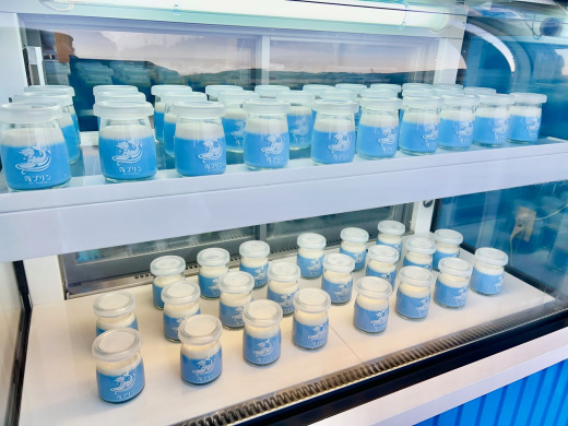 波音の"青い"海プリン　４個入