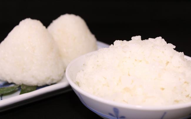 千葉県一宮町産コシヒカリ（白米１０kg）食べくらべチャレンジセット　令和７年産米【2025年発送分】　先行予約　一等米　５kg　２袋　白米　精米