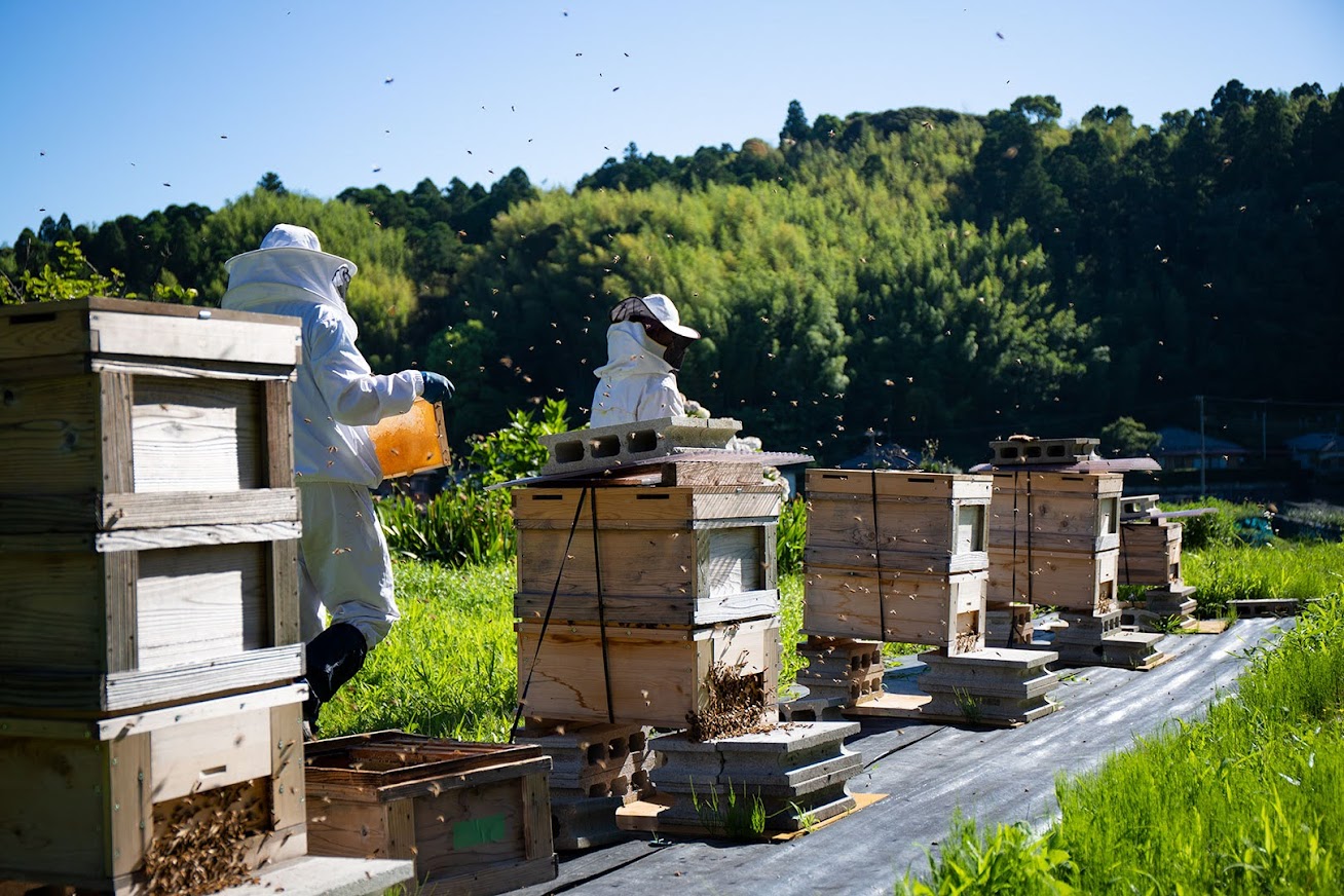 九十九里はちみつ(9983) ビニールパウチ150g×2種セット
