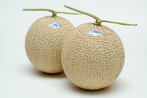 長生マスクメロン２玉（約3.5kg）【2026年夏発送分】