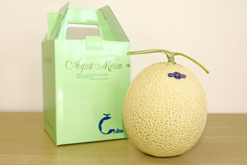 高級マスクメロン【千葉アクアメロン】１玉
