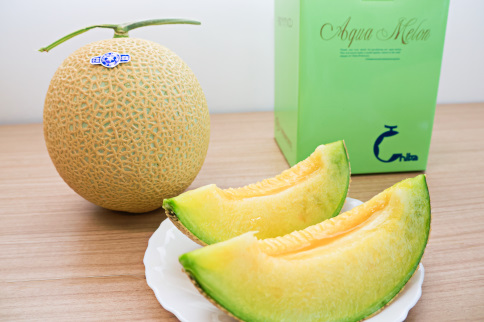 高級マスクメロン【千葉アクアメロン】２玉