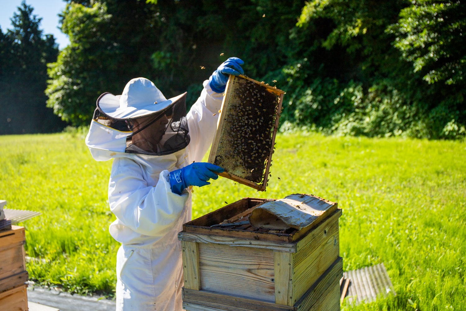 九十九里はちみつ(9983) ビニールパウチ150g×2種セット