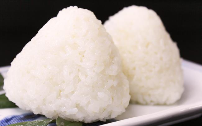 千葉県一宮町産コシヒカリ（玄米３０㎏）令和６年産米【2024年発送分】　一等米　先行予約