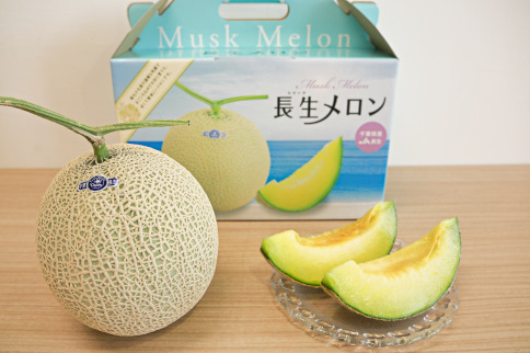 長生マスクメロン２玉（約3.5kg）【2026年夏発送分】