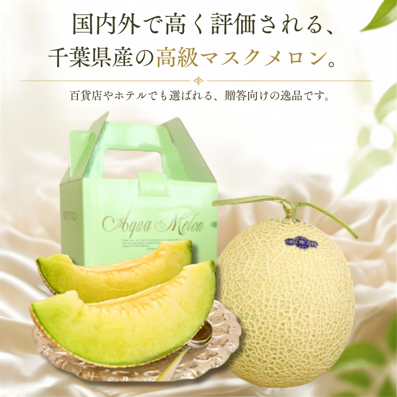 高級マスクメロン　【千葉アクアメロン】　1玉　L～2Lサイズ　千葉県産　化粧箱入り　生産者直送