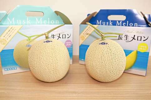 長生マスクメロン２玉（約3.5kg）【2026年夏発送分】