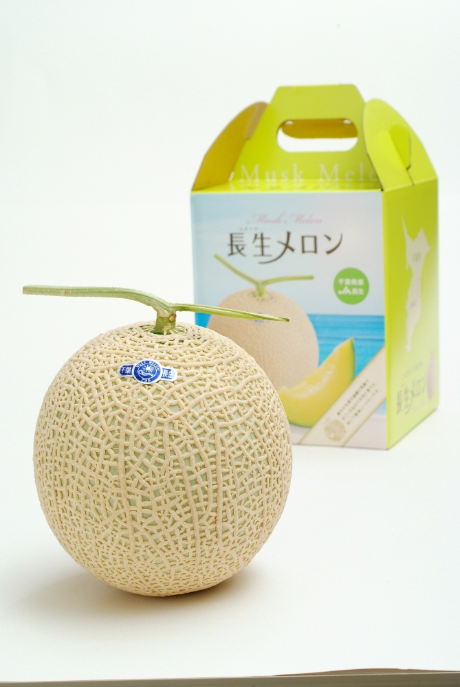 長生マスクメロン２玉（約3.5kg）【2026年夏発送分】