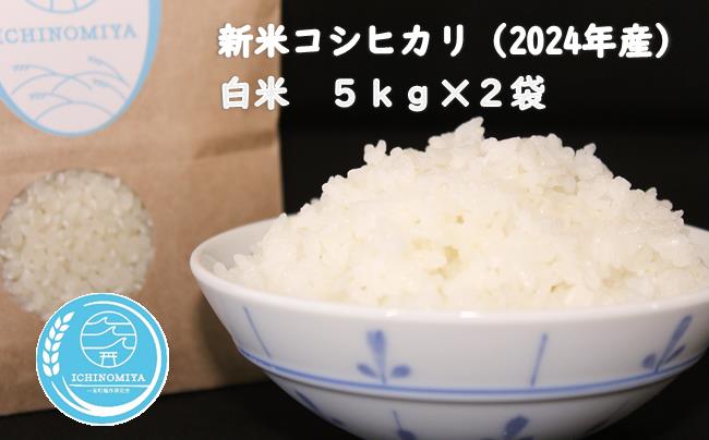 千葉県一宮町産コシヒカリ（白米１０㎏）令和６年産米【2024年発送分】　一等米　先行予約