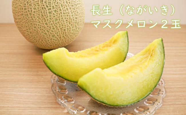 長生マスクメロン２玉（約3.5kg）【2026年夏発送分】