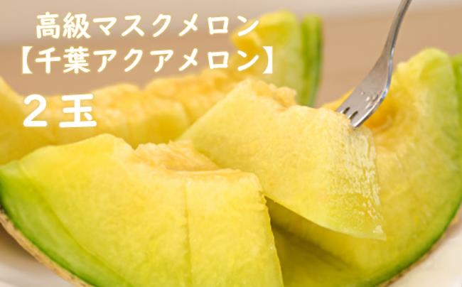 高級マスクメロン【千葉アクアメロン】２玉