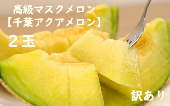 【訳あり】高級マスクメロン（千葉アクアメロン）２玉