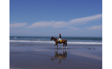 九十九里浜一宮乗馬センター施設利用補助券５枚（15,000円分）