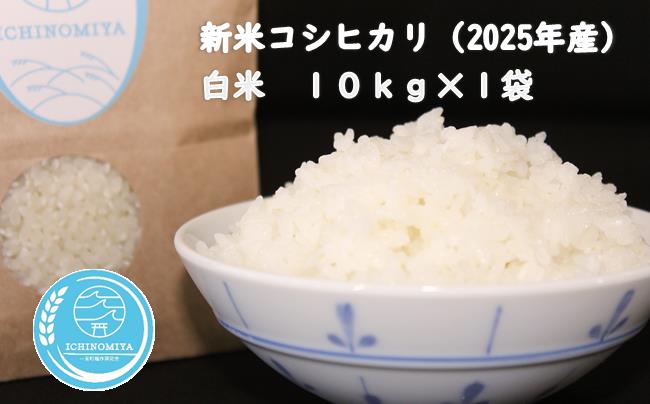 千葉県一宮町産コシヒカリ(白米10kg)令和7年産米[2025年発送分] 一等米 10kg 1袋 白米 精米