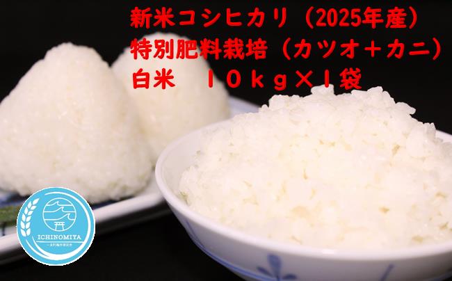 千葉県一宮町産特別肥料栽培『カツオ+カニ』コシヒカリ(白米10kg)令和7年産米[2025年発送分]先行予約 一等米 10kg 1袋 白米 精米 先行予約