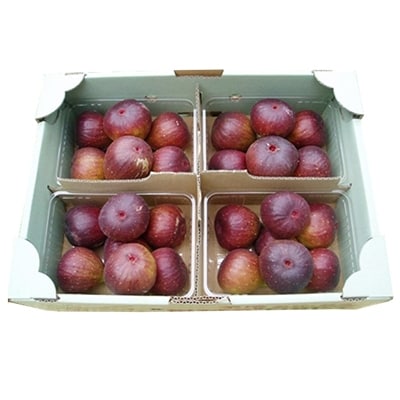 いちじく【配送不可地域：離島・北海道・沖縄県・東北・中国・四国・九州】