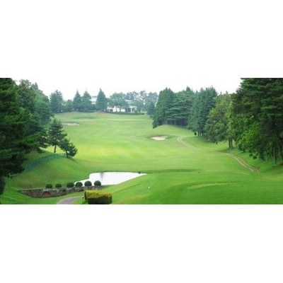 ゴルフ場利用券6枚(町内4施設利用可能)