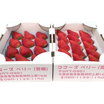 いちご(紅ほっぺ・かおり野 9～18粒前後×2箱)【配送不可地域：離島・北海道・沖縄県・東北・中国・四国・九州】