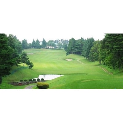 ゴルフ場利用券1枚(町内4施設利用可能)