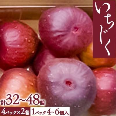 いちじく【配送不可地域：離島・北海道・沖縄県・東北・中国・四国・九州】