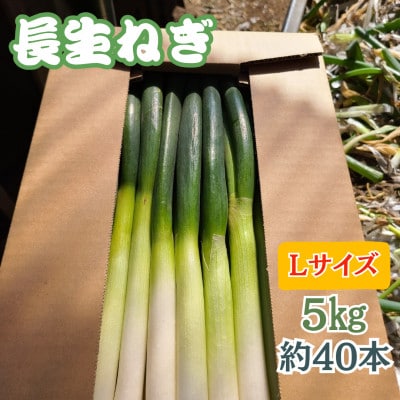 【千葉県長柄町産】『長生ねぎ』Lサイズ　5kg(約40本)