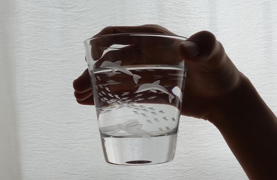 浅草切子 aquatic「Penguin's Aquarium」