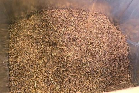 日本茶専門店 増田園の極上ほうじ茶〈ノンカフェイン〉80g×3袋