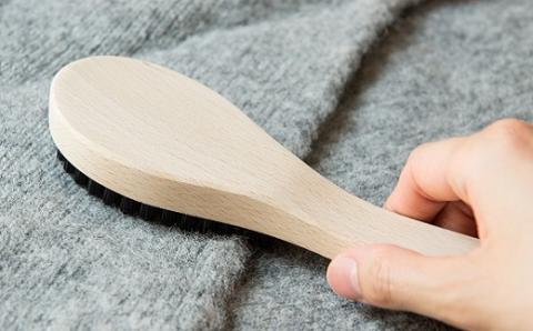 【浅草アートブラシ】かんたん毛玉取りブラシ「匠」