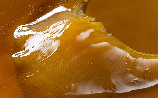 おうちで東天紅 [ふかひれスープ＆ふかひれ姿煮コース]