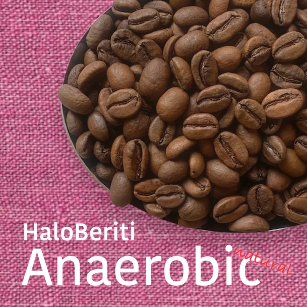 【コーヒー豆】エチオピア産"ゲイシャ"＋おすすめ３種 (各100g計400g入り)