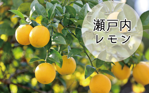 “果実感”と“サッパリした甘さ”を同時に味わえる逸品◎心華やぐ◎ドリズルレモンケーキ〈4号〉