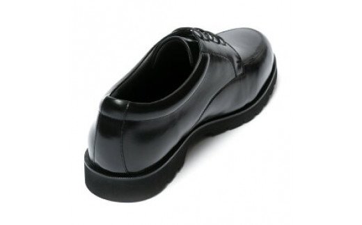 【匠の靴】超軽量 幅広6E本革ビジネスシューズTT-26S(サイズ：29.0cm) 29.0cm