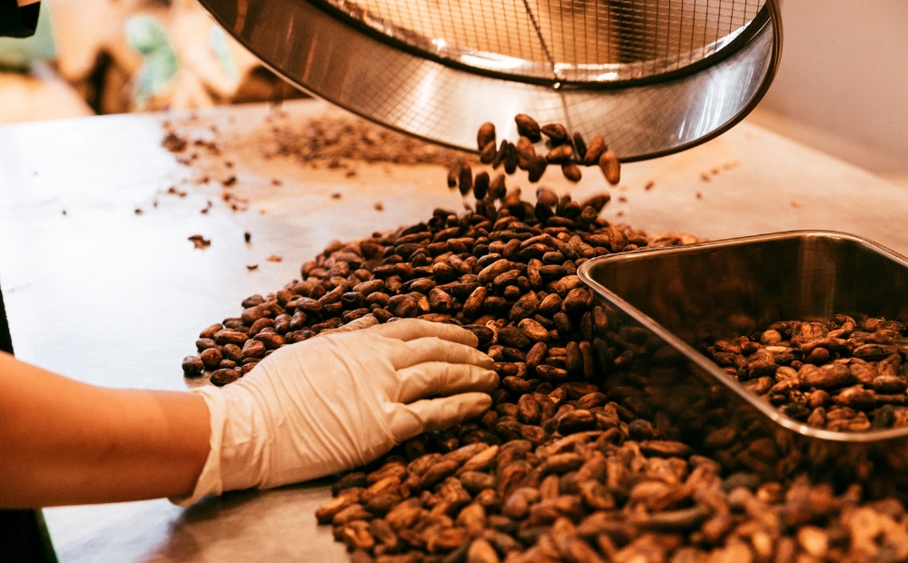 【ダンデライオン・チョコレート】チョコレート・コレクション（3枚）