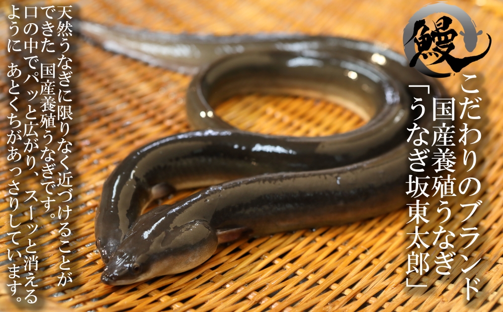 【鰻 駒形前川 浅草本店 限定】御食事券 昼会席コース