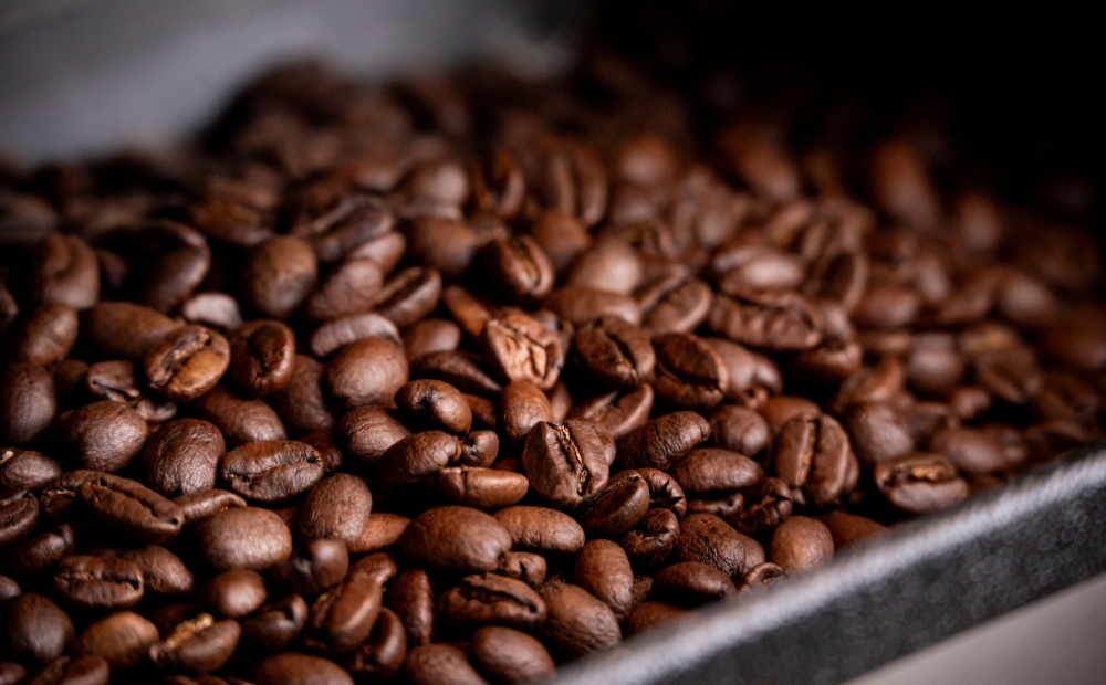 【YANAKA COFFEE】谷根千ブレンド コーヒー豆 500g (粉-中挽き)