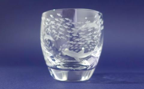 浅草切子 aquatic「Dolphin Fish 冷酒杯」