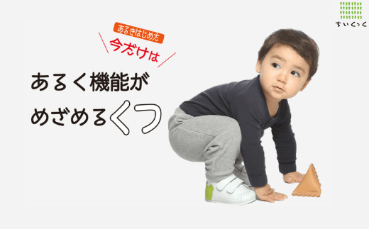 ちいくっく?〈あるく機能が目覚めるくつ〉(サイズ：13.5cm、柄：コッコさん＆ピコちゃん) 13.5cm