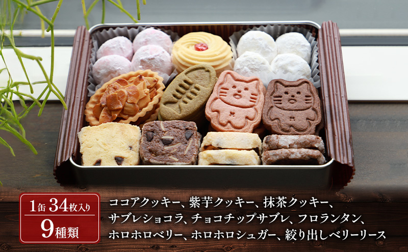 クッキー缶 にゃーこちゃんのクッキー缶 2缶 Dessert lab クッキー 詰め合わせ 缶 可愛い 猫 グッズ ギフト プレゼント 贈答 贈答用 贈答品 贈り物 お祝い スイーツ 焼き菓子 おやつ お菓子 菓子 フロランタン スノーボールクッキー 東京
