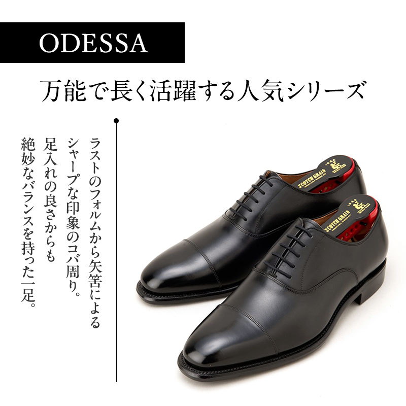 スコッチグレイン 紳士靴 「オデッサ」 NO.916 メンズ 靴 シューズ ビジネス ビジネスシューズ 仕事用 ファッション パーティー フォーマル　23.5cm