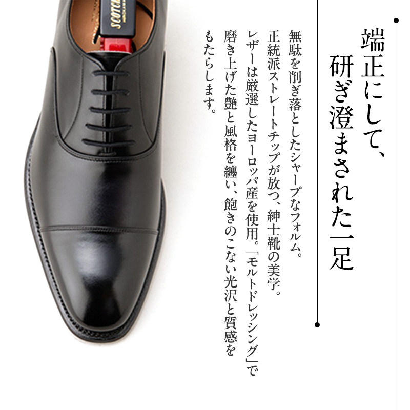 スコッチグレイン 紳士靴 「オデッサ」 NO.916 メンズ 靴 シューズ ビジネス ビジネスシューズ 仕事用 ファッション パーティー フォーマル　25.0cm