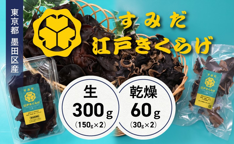 東京都墨田区産　生キクラゲ300g（150g×2パック）、乾燥キクラゲ60g（30g×2袋）　食品 野菜 きのこ キノコ きくらげ キクラゲ 木耳 純国産 新鮮 サラダ 和え物 炒め物 鍋