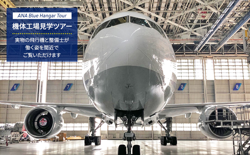 2月15日(土)開催！】 ANA限定 はとバスで行く ANA Blue Base Tour（訓練施設見学）とANA Blue Hangar Tour（ 機体工場見学）ツアー 2名様 ペア 参加チケット 2024年12月22日(日)受付〆 ブルーハンガーツアー ブルーベースツアー ANA限定返礼品  体験チケット はとバス ...