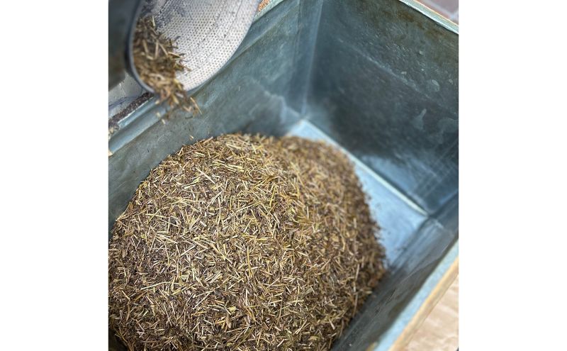 ほうじ茶 当店焙煎ほうじ茶 お茶 自家焙煎 茶葉 ブレンド 旨み 香ばしい 豊かな香り 深い味わい 看板商品 大田区 東京都