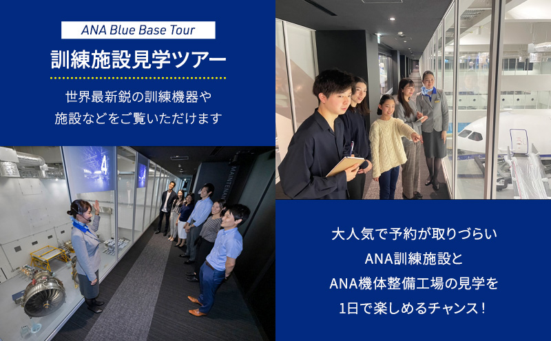 3月15日(土)開催！】 ANA限定 はとバスで行く ANA Blue Base Tour（訓練施設見学）とANA Blue Hangar  Tour（機体工場見学）ツアー 2名様 ペア 参加チケット 2025年1月22日(水)受付〆 ブルーハンガーツアー ブルーベースツアー ANA限定返礼品  体験チケット はとバス 飛行機 ...