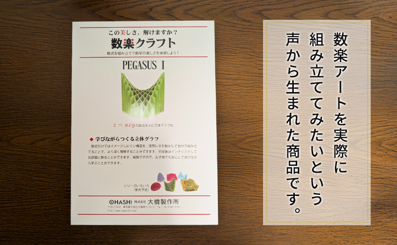 数楽クラフトセット PEGASUSI 波紋 2つの2変数関数のセット 数楽アート 数楽クラフト 組み立て 数学 数式の美しさ 馬の鞍 三角関数 アート オブジェ 立体グラフ 多変数関数 2変数関数 ユニーク 東京都 大田区