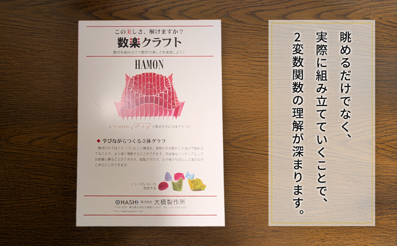 数楽クラフトセット PEGASUSI 波紋 2つの2変数関数のセット 数楽アート 数楽クラフト 組み立て 数学 数式の美しさ 馬の鞍 三角関数 アート オブジェ 立体グラフ 多変数関数 2変数関数 ユニーク 東京都 大田区