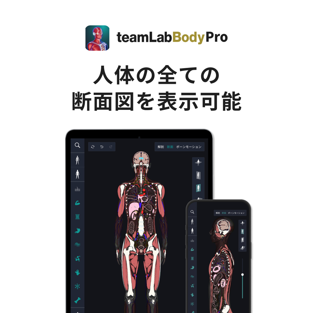 teamLabBody Pro Premiumプラン 1年分 【215001】
