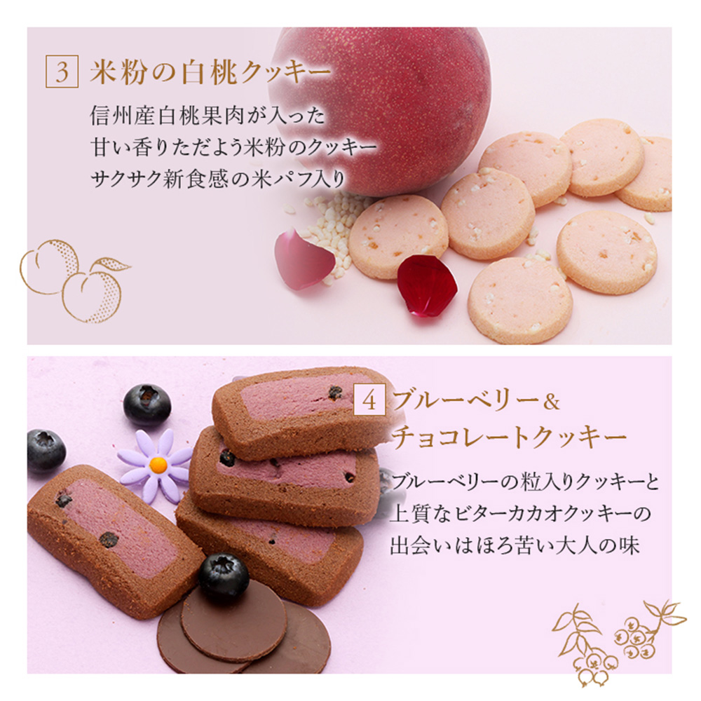 渋谷西村 プレミアムフルーツクッキー [渋谷西村フルーツパーラー道玄坂店]【036014】